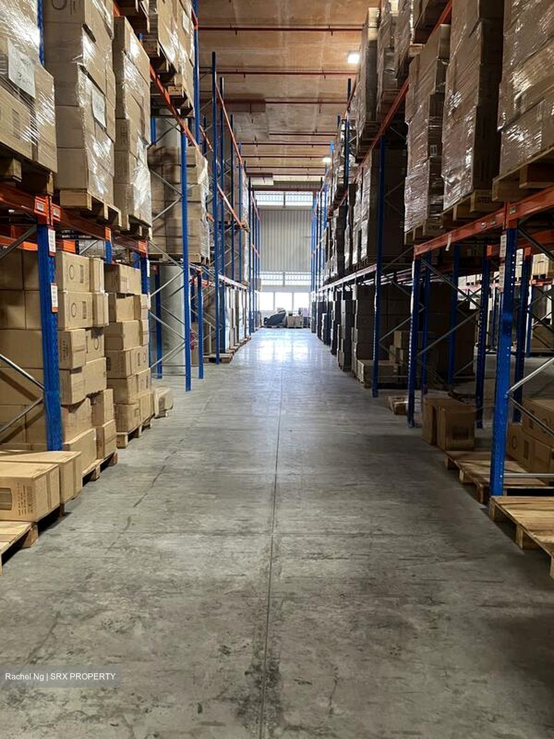 Imm Building (D22), Warehouse #565833941